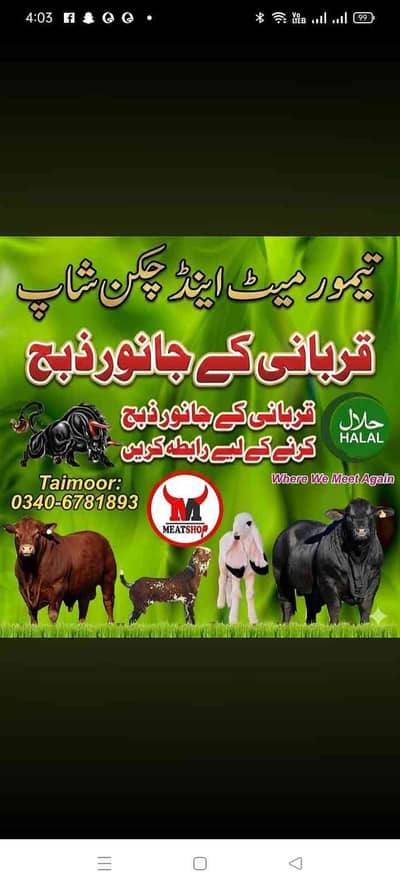 taimoor