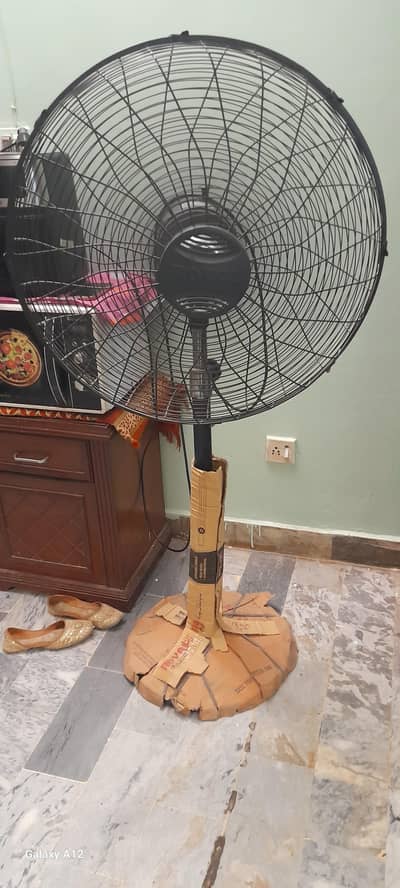 Pedestal Fan (like new) Royal