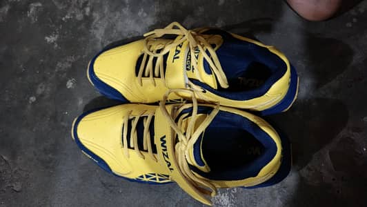 wizal shose