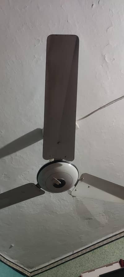 Fan for sale