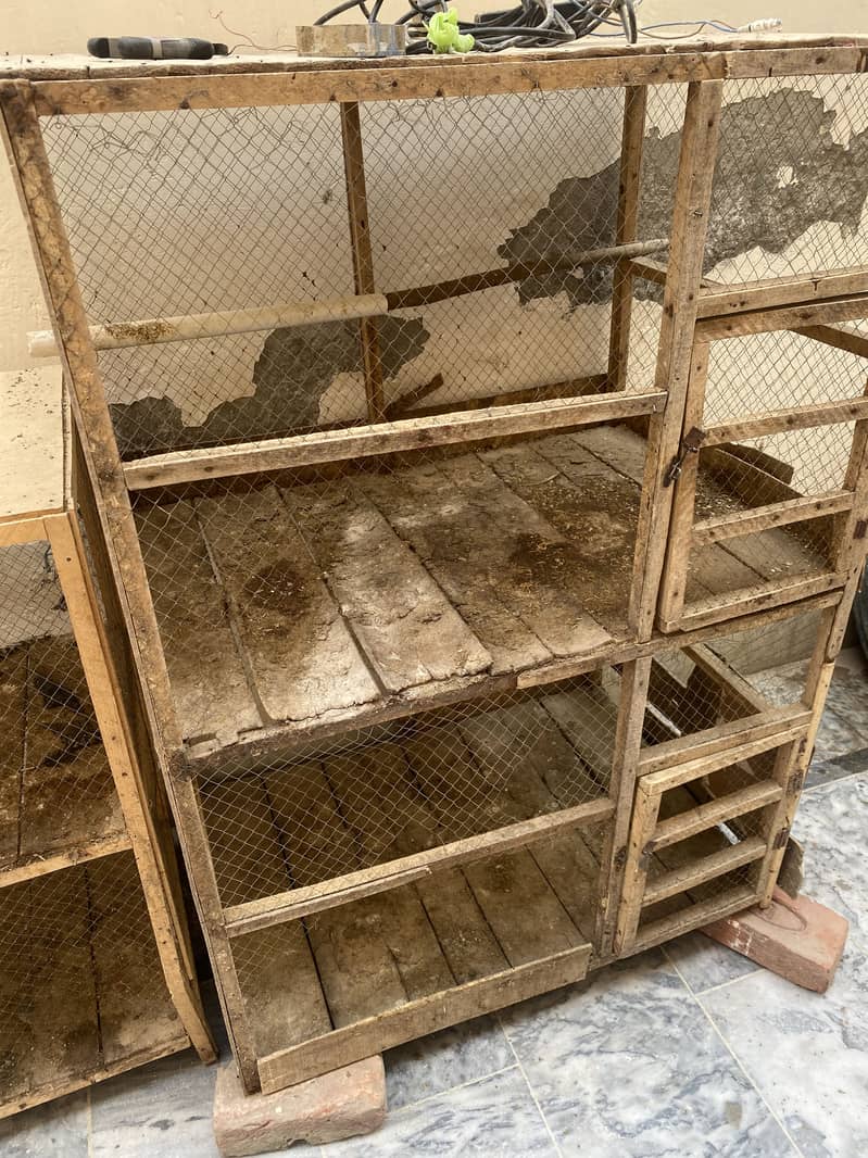 2 cages 2
