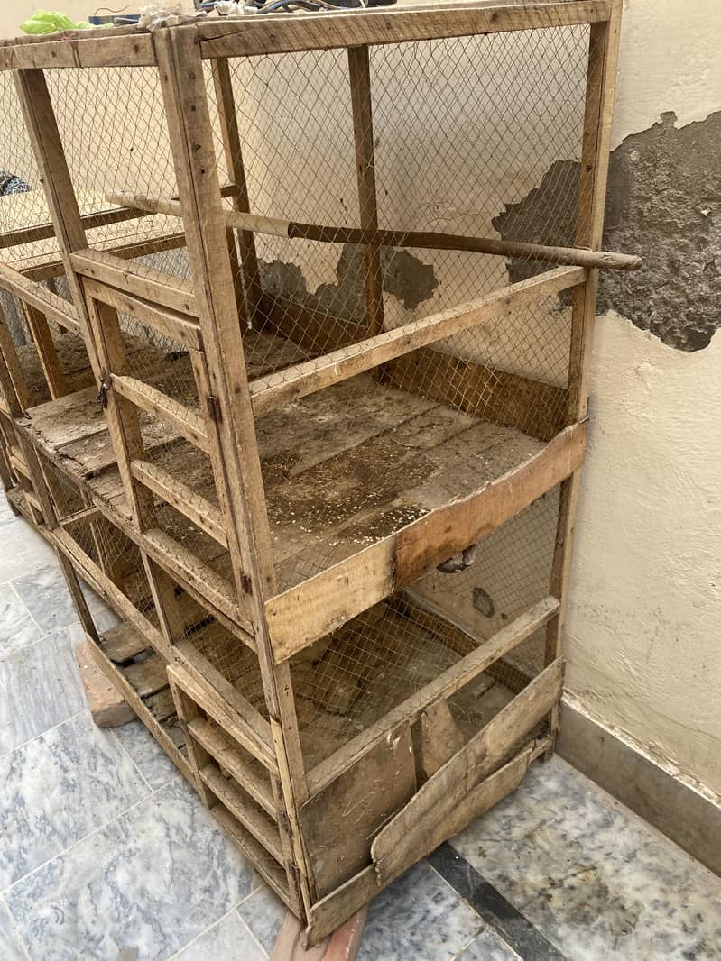 2 cages 3