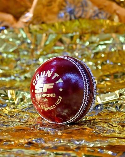 professional cricket balls for sale