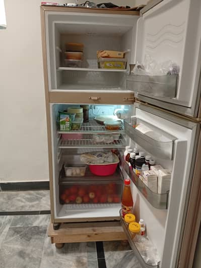 Waves refrigerator 9 CFT
