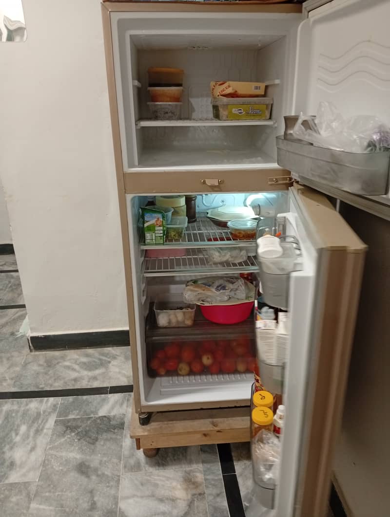 Waves refrigerator 9 CFT 1
