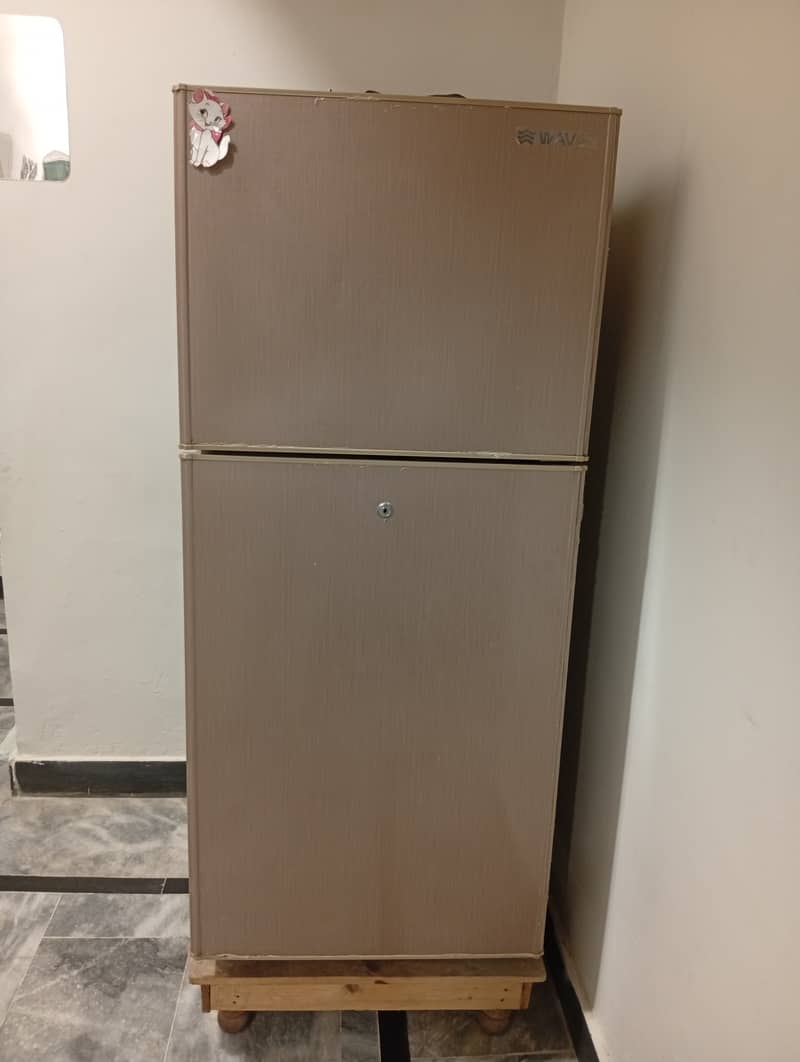 Waves refrigerator 9 CFT 2