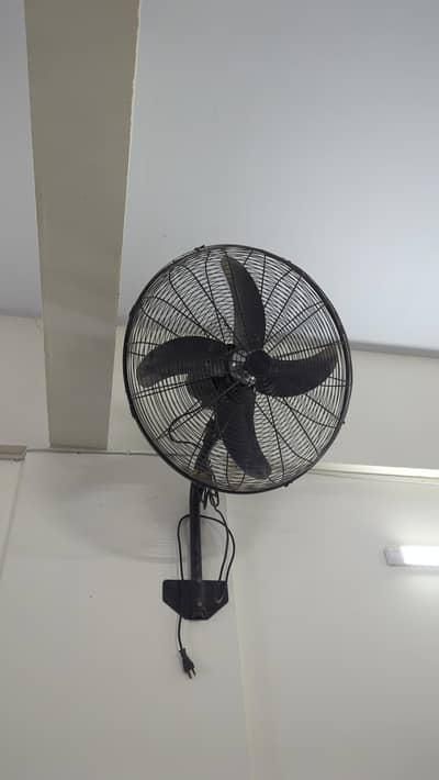 Royal Fan Orignal copper