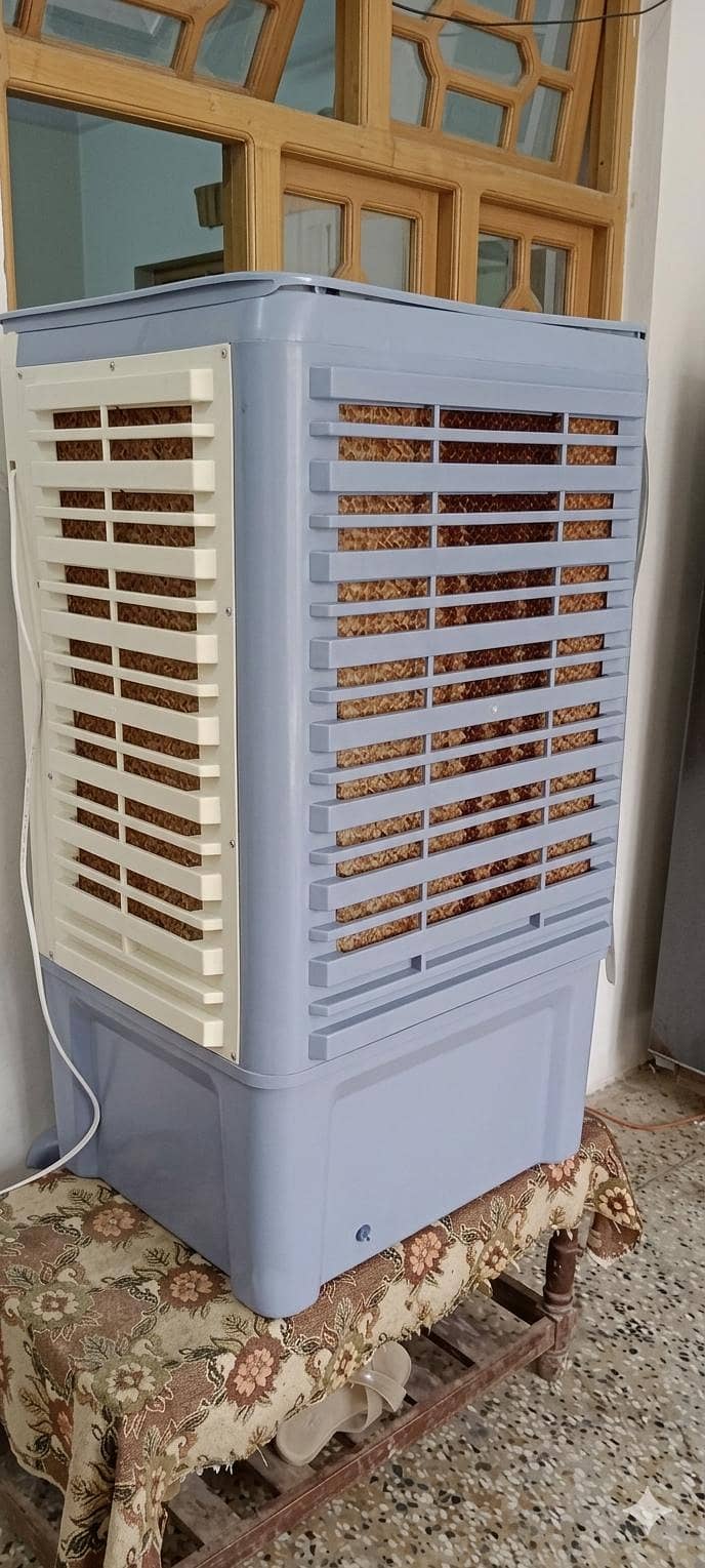Snowcrest plus 1