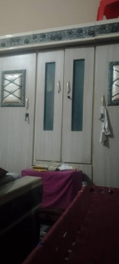 seel m