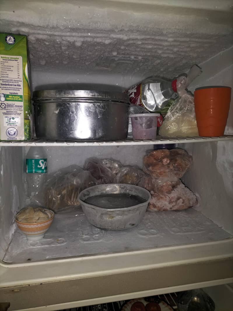 Electrolux Refrigrator 3