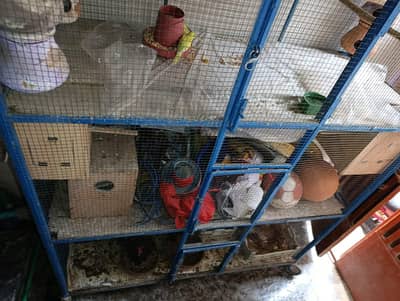 Cage Cage for  parrots and pigeon and other