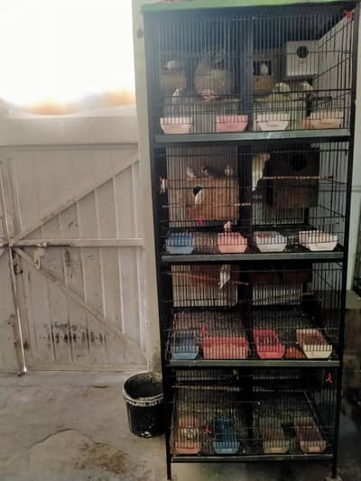 cage for sale 03127093372