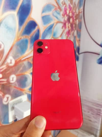 Iphone 11 pta approved