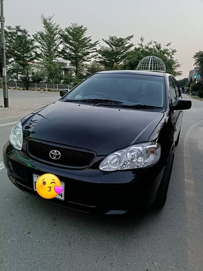 Corolla XLI