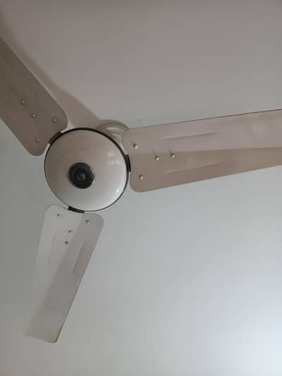 56" Pak Fan /Parwaz Fan