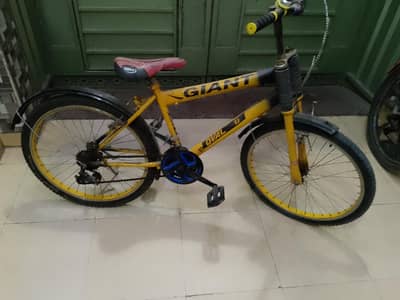 Giant ki cycle hai