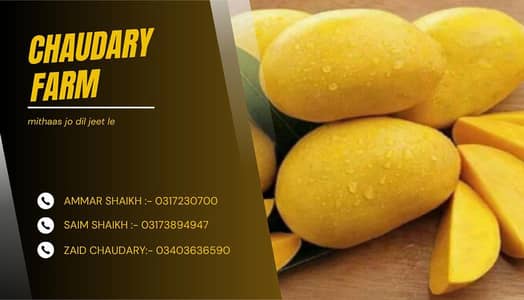 PREMIUM MANGOES NOW AVAILABLE