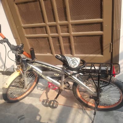 20' cycle