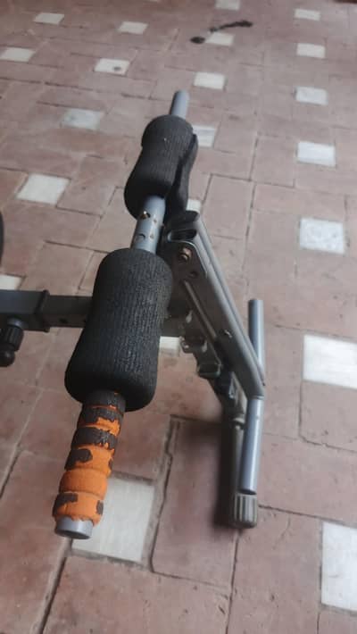 new hai pet kam ka wazn kam karti hai