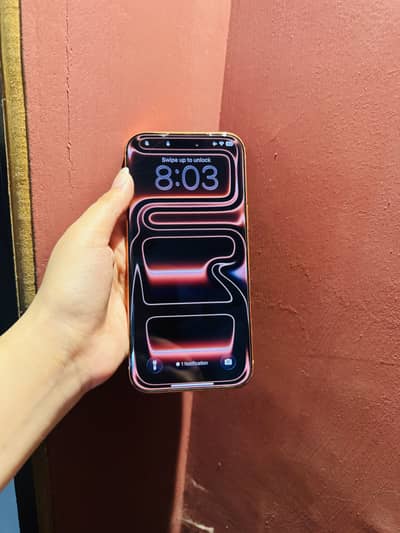 iPhone 17 promax