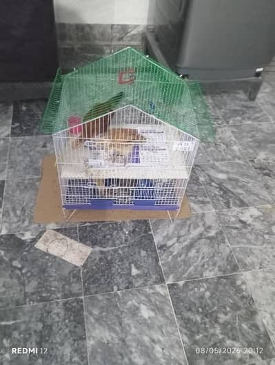 Hen Cage