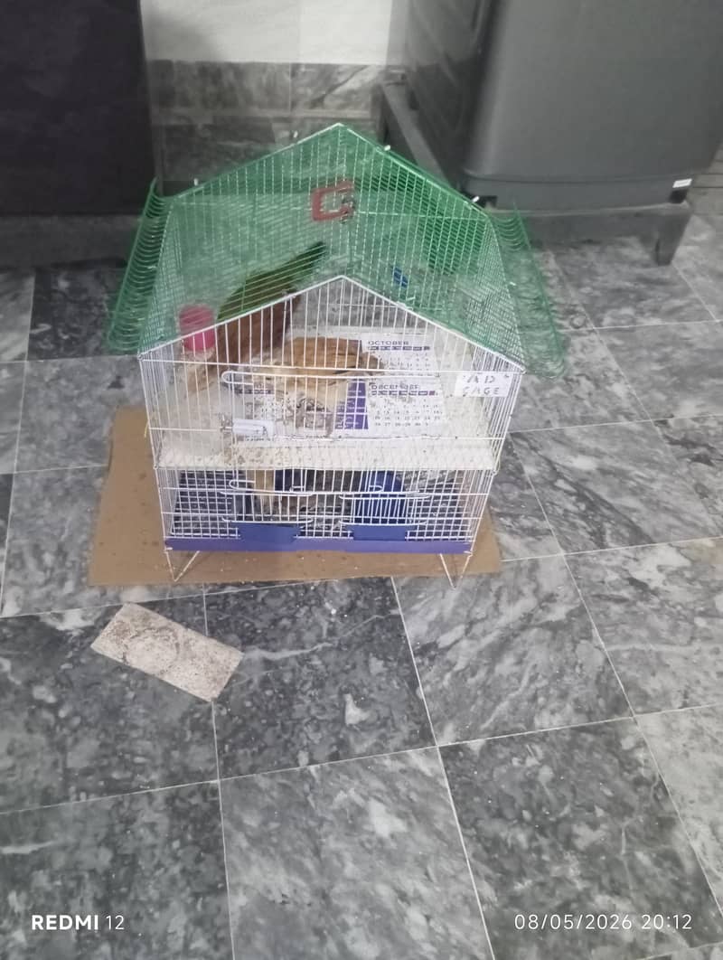 Hen Cage 0