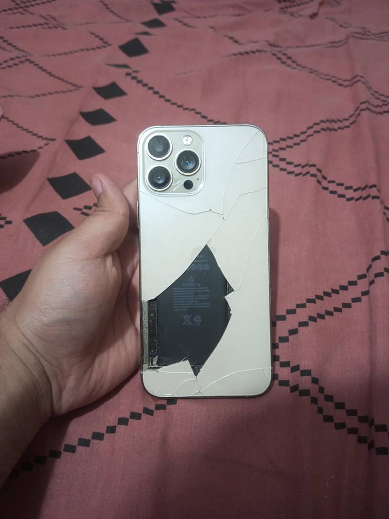 iphone 13 pro max 10