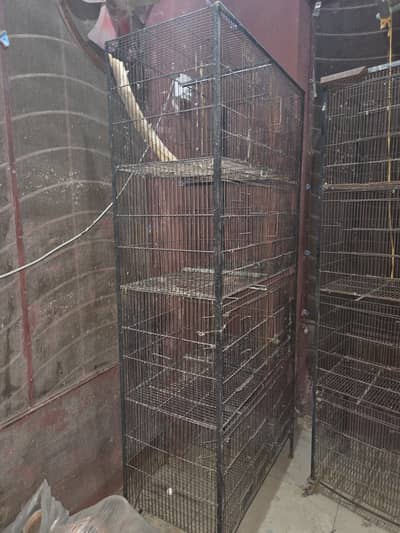 Two big cages for birds for urgent sale