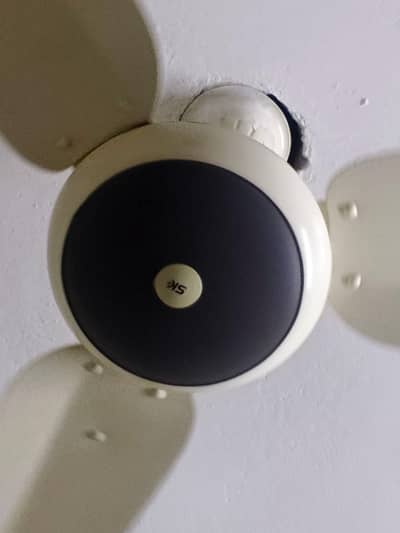 Ceiling Fan