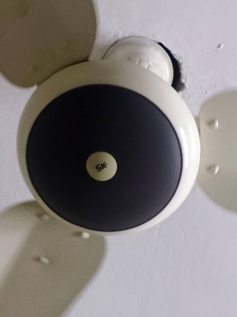 Ceiling Fan 1