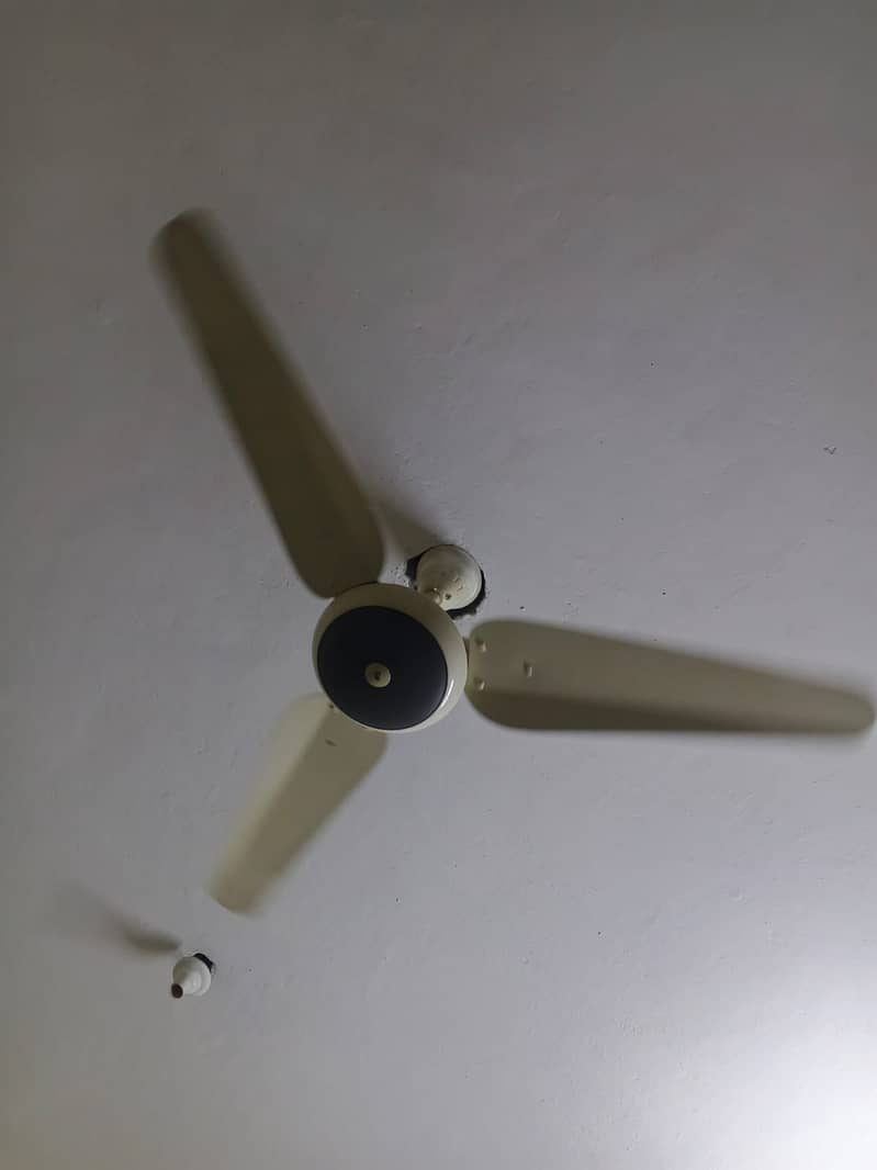 Ceiling Fan 2
