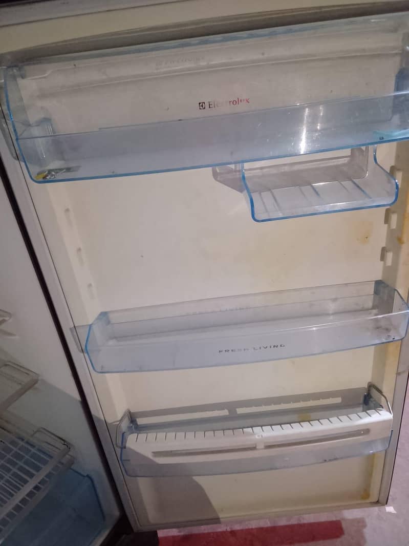 Freezer 6
