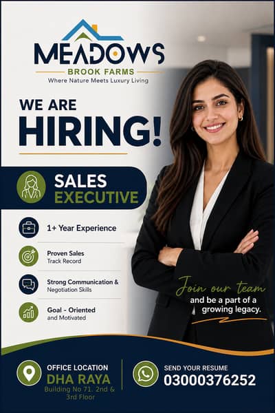 Sales Executive