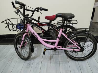 2 cycle
