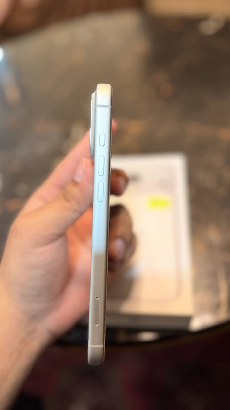 17 Pro Max 11