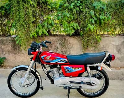 cg 125 red 23/24 model
