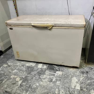 Waves Single Door Deep Freezer  Large Size