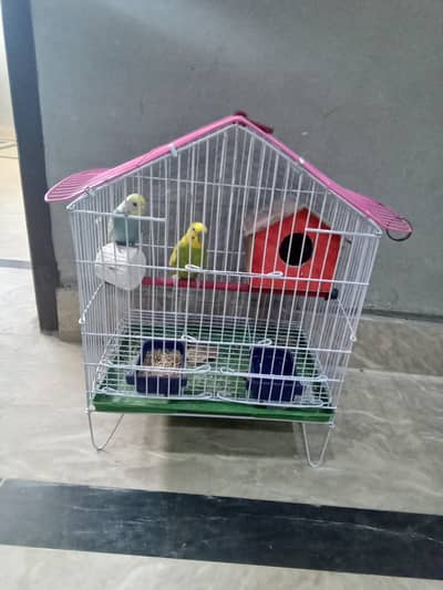 full nice condition fresh cage only 2monthuse neat and clean cage
