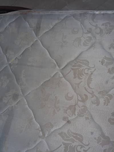 master molly foam celest