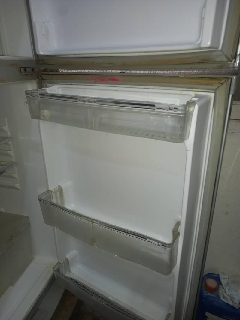 fridge 5