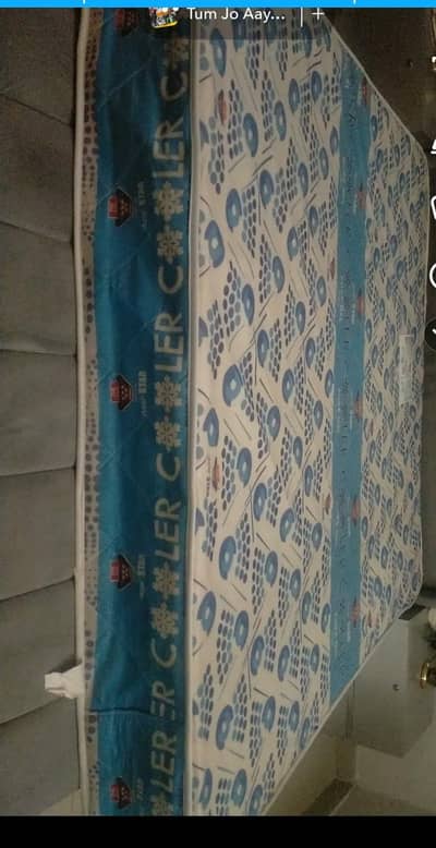 Five Star Medicated Mattress