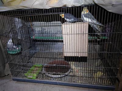 cage for sale