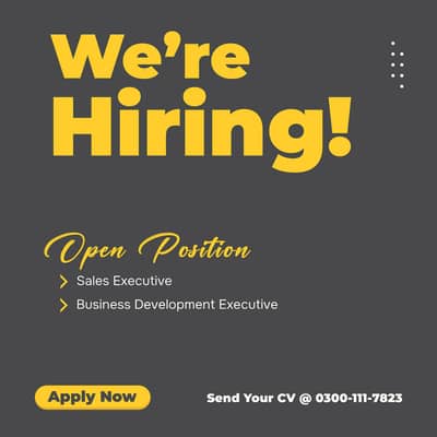 Sales Executive / Business Development Executive