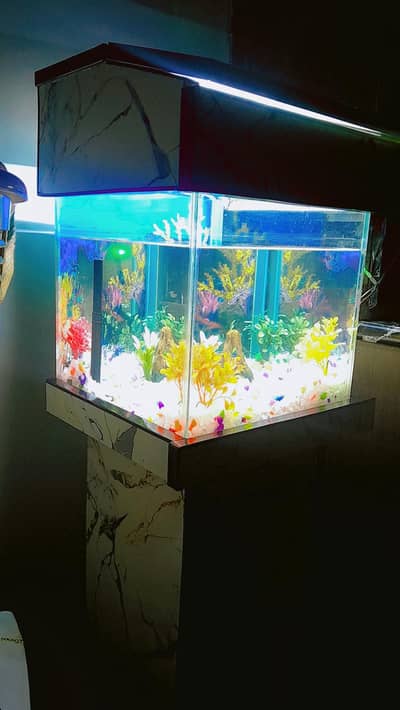Aquarium in a very good condition