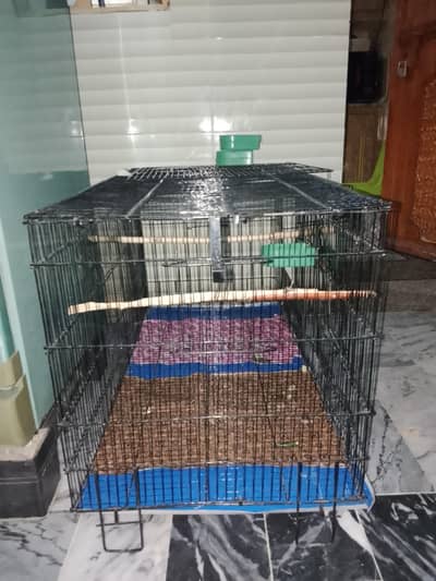 birds cage