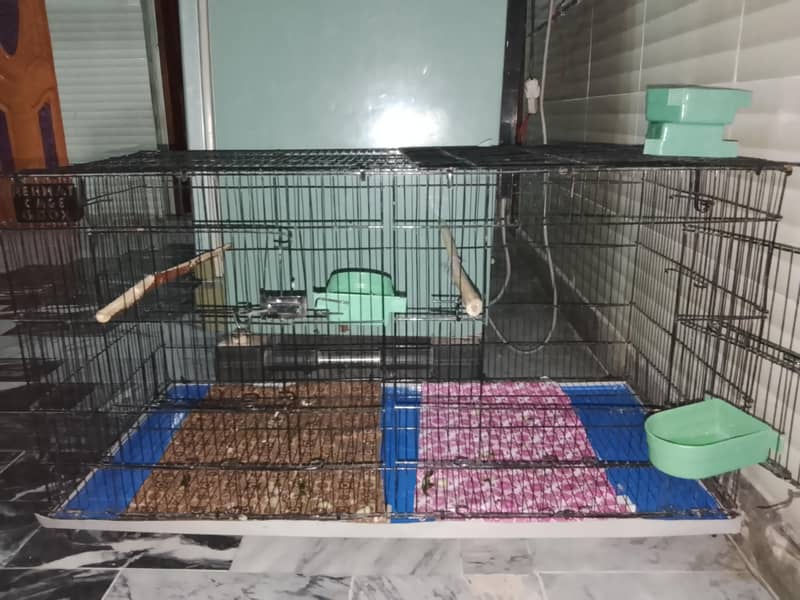 birds cage 1
