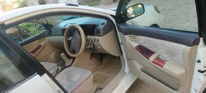 20D saloon