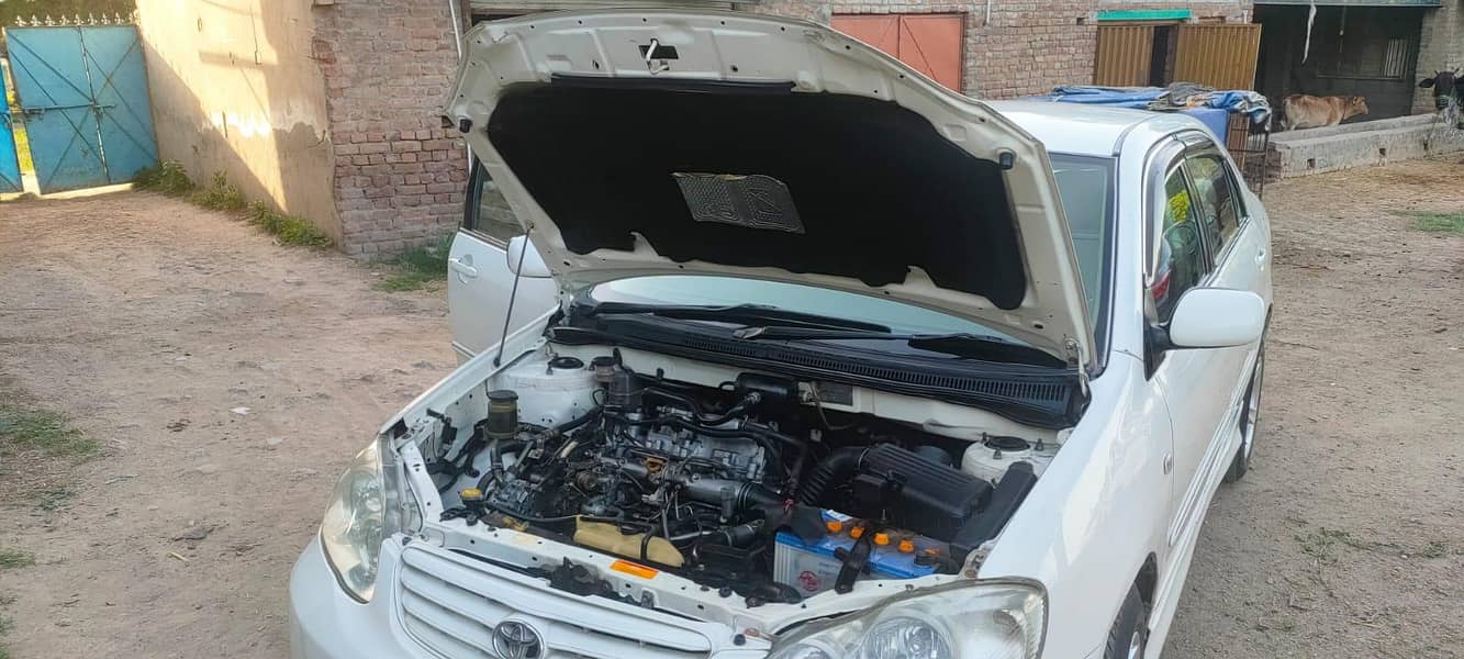 20D saloon 4