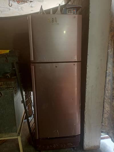Kenwood mideam frig