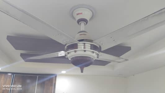 Royal Fan New Condition